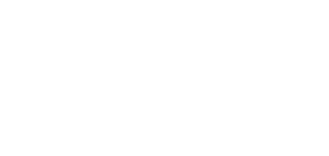 Afric Consulting Services